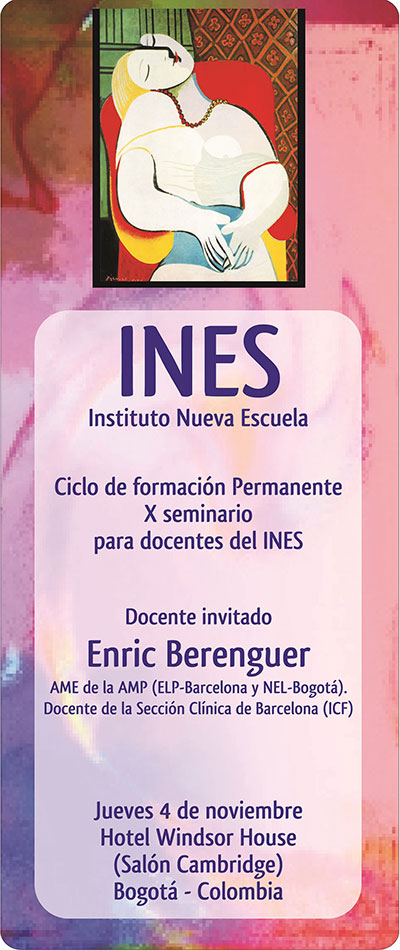 2010 X Seminario del INES